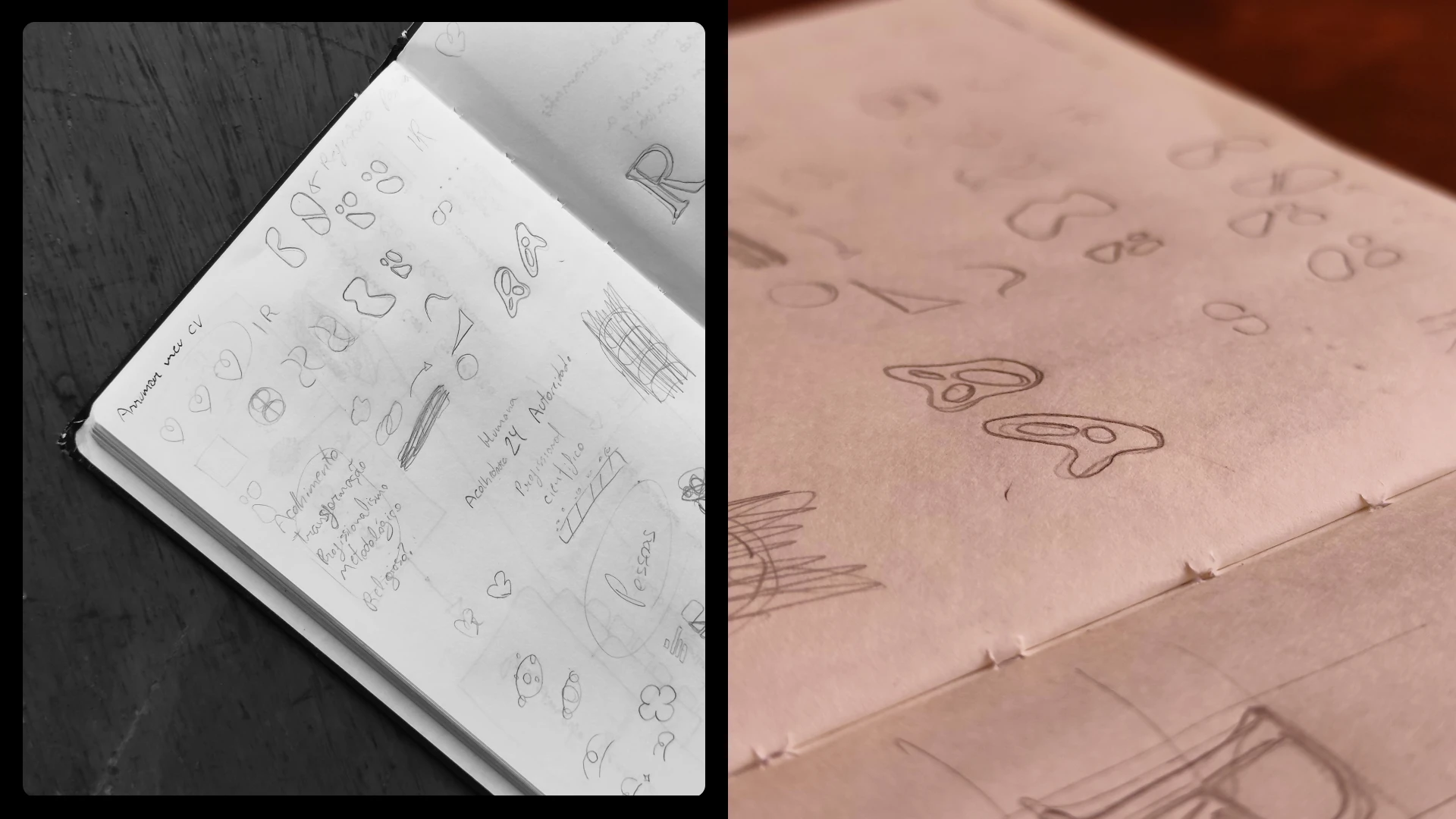 Dr Isabella Ristov - Visual Identity 12
