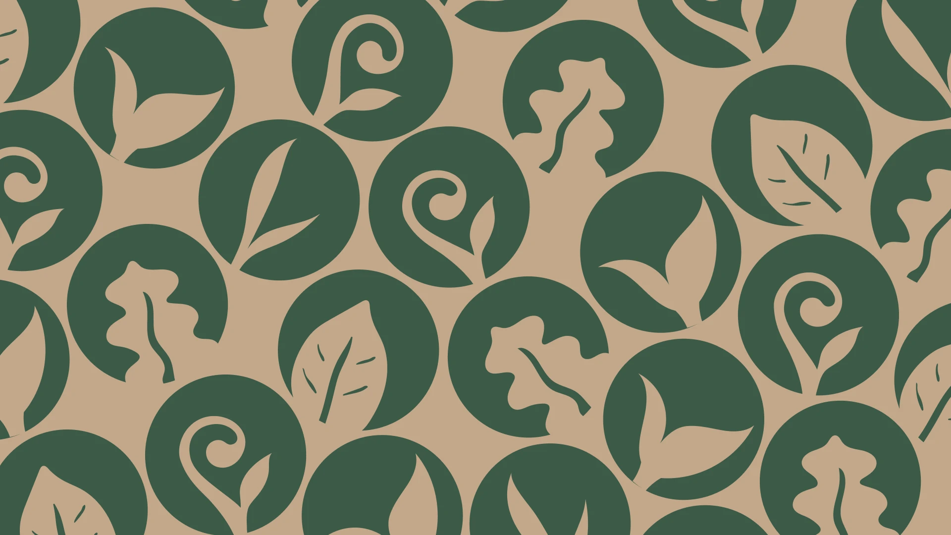 Dr Isabella Ristov - Visual Identity 8